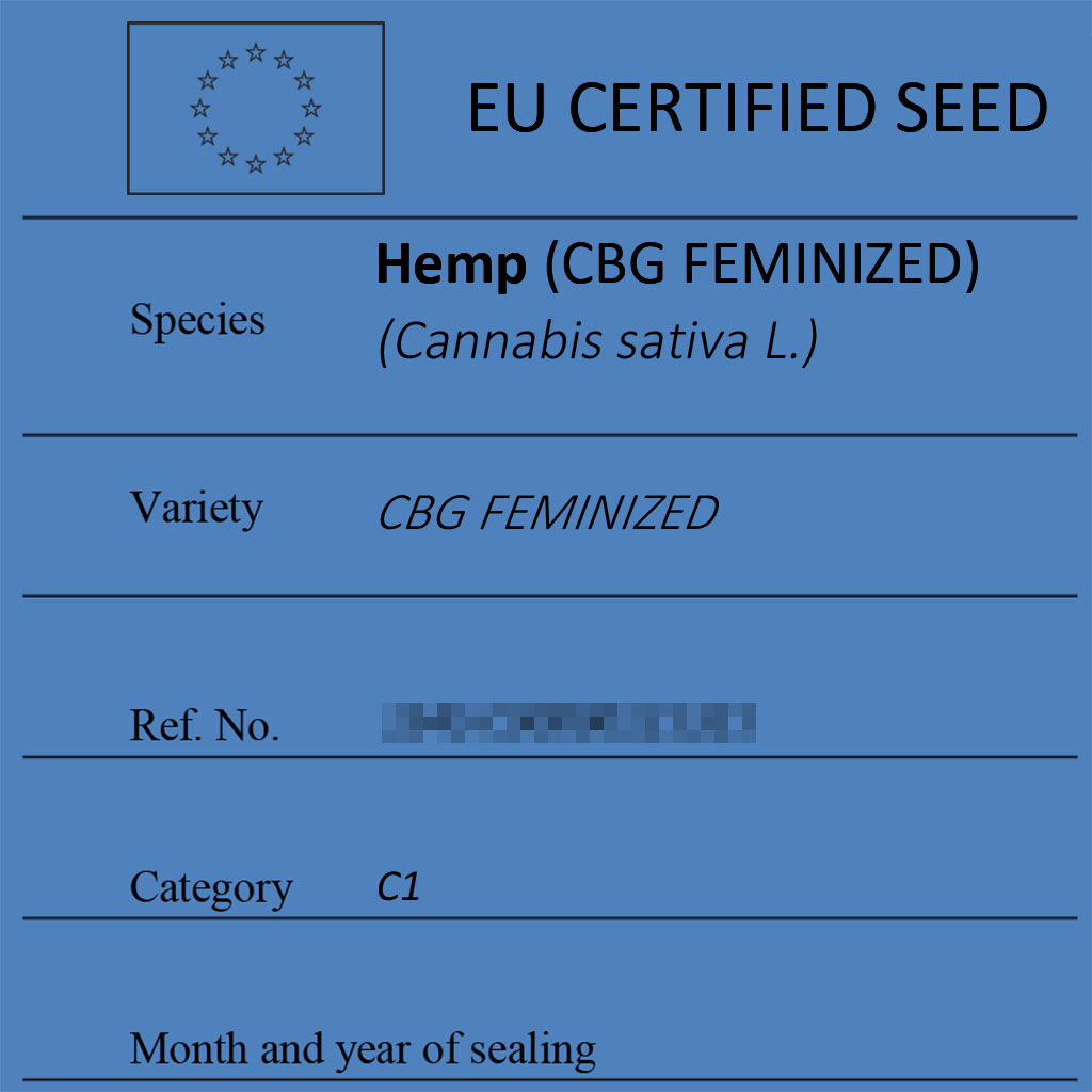 Certified hemp seeds CBG FEMINIZED label