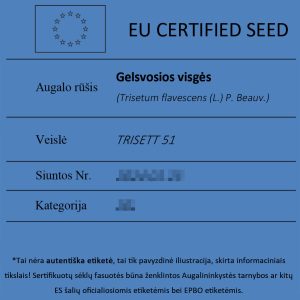 Gelsvosios-visges-Trisetum-flaveascens-sertifikuotos-seklos-etikete