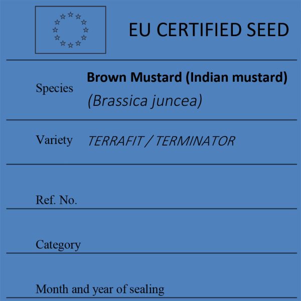 Brown Mustard (Indian mustard) Brassica juncea certified seed label