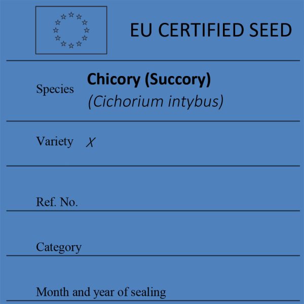Chicory (Succory) Cichorium intybus certified seed label