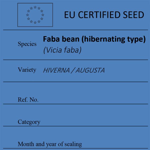 Faba bean (hibernating type) Vicia faba certified seed label